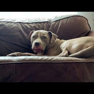 Meet your Posher, Vickie